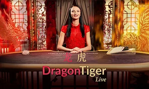 777plus Bingo Promotions
